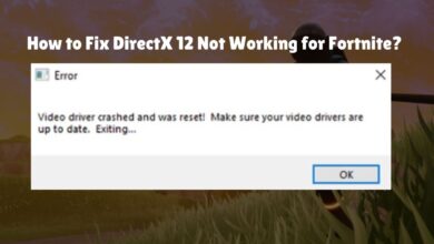 How to Fix DirectX 12 Not Working for Fortnite?
